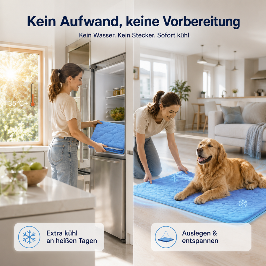 Kein Wasser, kein Gefrierfach, kein Stecker